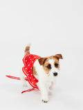 JOULES RED 'HELLO' POLKA DOT NECKERCHIEF