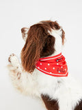 JOULES RED 'HELLO' POLKA DOT NECKERCHIEF