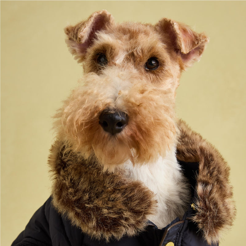 Joules Navy Cherington Coat Medium