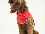 JOULES RED 'HELLO' POLKA DOT NECKERCHIEF