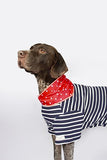JOULES RED 'HELLO' POLKA DOT NECKERCHIEF
