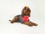 JOULES RED 'HELLO' POLKA DOT NECKERCHIEF
