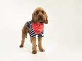 JOULES RED 'HELLO' POLKA DOT NECKERCHIEF