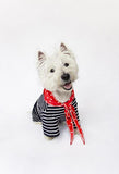 JOULES RED 'HELLO' POLKA DOT NECKERCHIEF