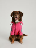 Joules Lydford Dog Coat Large