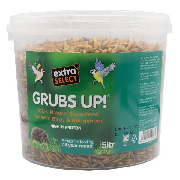 Extra Select Grubs 5L Tub