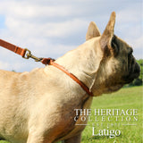 Ancol Rolled Leather Collar Chestnut Size 4