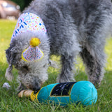 Ancol Pawty Stripe Hat with Bandana Set M/L