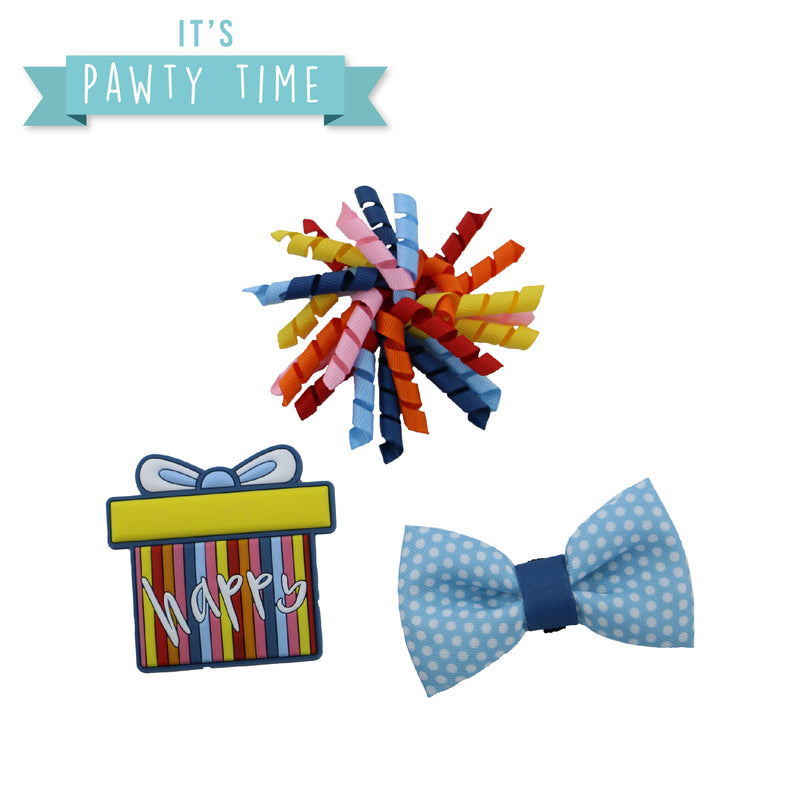Ancol Pawty Stripe Present Accessory Set