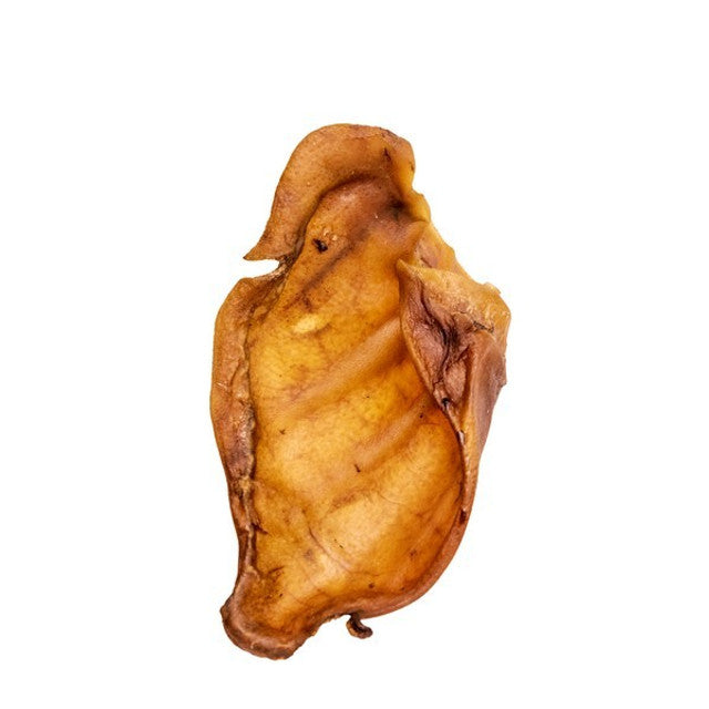 Pigs Ears 10 Pack