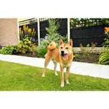 Petello Nobblys Animal Lion Banana 40g