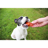 Petello Nobblys Animal Hippo Pumpkin 40g