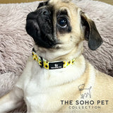 SOHO Sunflower Collar Medium