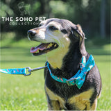 SOHO Ice Cream Patterned Collar S