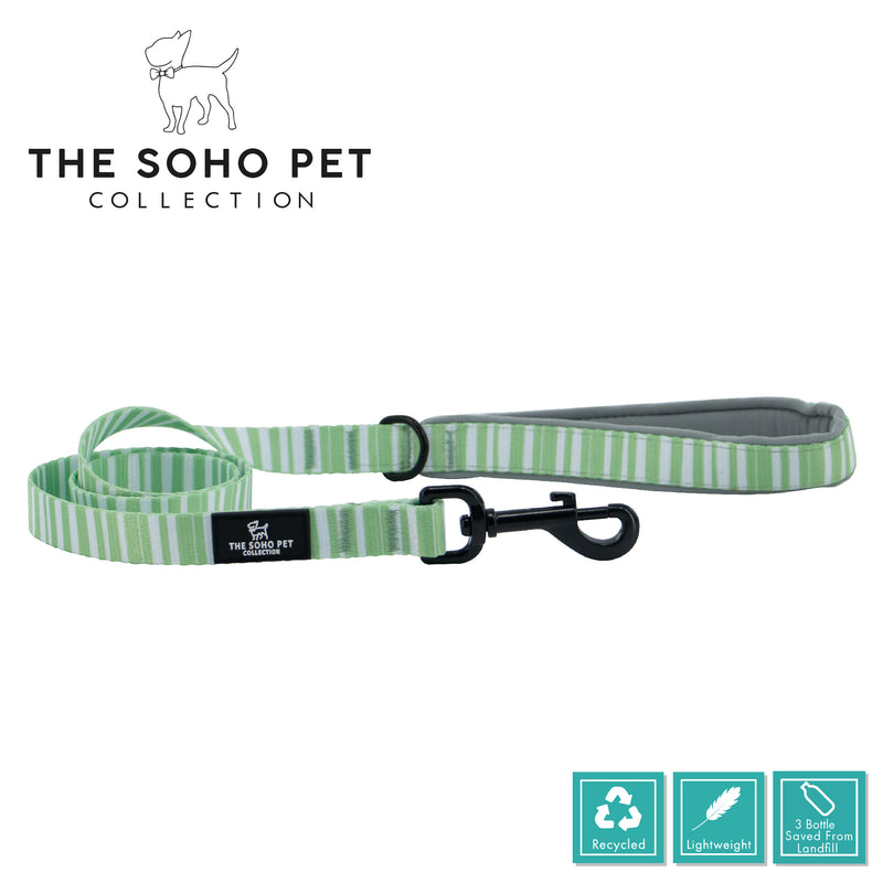 SOHO Stripe Patterned Lead