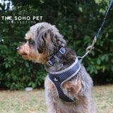 SOHO Polka Dot Patterned Lead