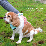 SOHO Stripe Poop Bag and Scrunchie
