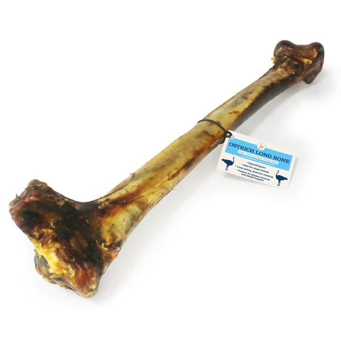 JR Ostrich Long Bone