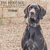 Ancol Vintage Leather Padded Dog Collar Size 6