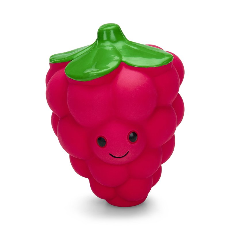 Petface Faces Latex Raspberry Dog Toy Large