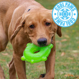 ANCOL Dog cooling toys assorted