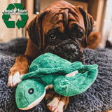 ANCOL Made From Turtle