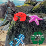 ANCOL Starfish Crab And Anchor