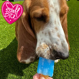 ANCOL Dog Small Bite Ice Teasers
