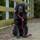 Ruff & Tumble Burgundy Slip Lead Thick