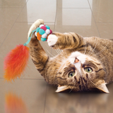 KONG Cat Active Bubble Ball Assorted