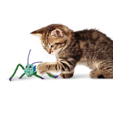 KONG Crackles Grasshopper