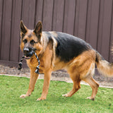 KONG Extreme Ball with Rope Large