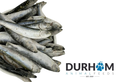 Durham Sprats - 1kg