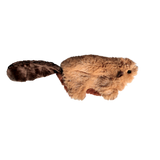 KONG Catnip Beaver