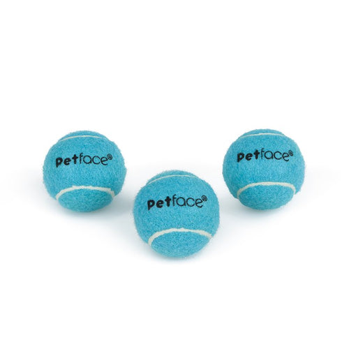Little Petface 3 pack tennis balls