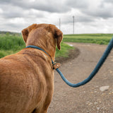 Ruff & Tumble Sandringham Blue Slip Lead