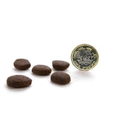 Canagan SB Scottish Salmon for Dogs 6kg