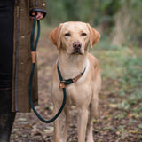 Ruff & Tumble Thick Slip Lead Forest