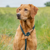 Ruff & Tumble Thick Slip Lead Forest