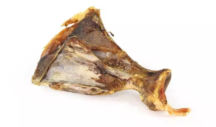 JR Pet Products Pork Shoulder with Moon Bone for Dogs