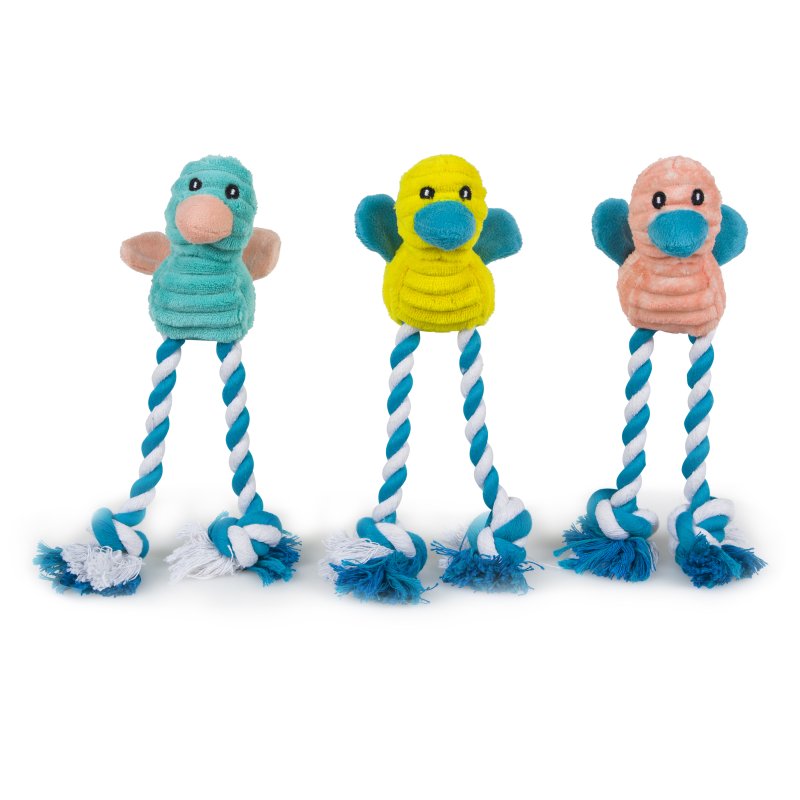 LITTLE PETFACE CORD LONG LEGS