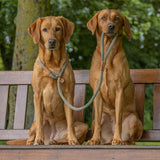 Ruff & Tumble Moss Slip Lead