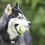 KONG Air Squeaker Tennis Ball 3pk Small
