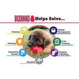 KONG Classic Red Large