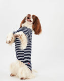 JOULES HARBOUR TOP SMALL - Clearway Pets