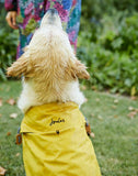Joules Raincoat Mustard XLarge 66cm - Clearway Pets