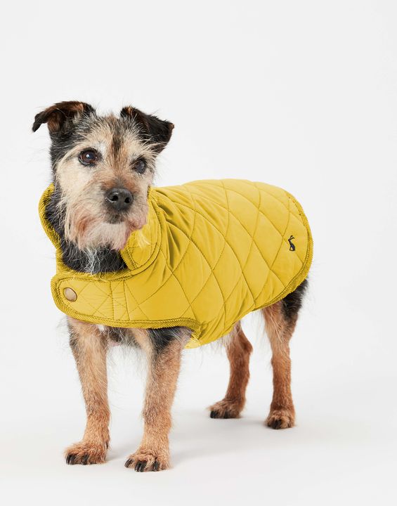 Joules Antique Gold Quilted Coat Large - Clearway Pets