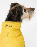 Joules Antique Gold Quilted Coat Large - Clearway Pets
