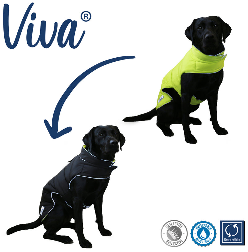 Ancol Reversable Coat Black/Yellow S