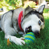 KONG Squeezz Goomz Ball Extra Large